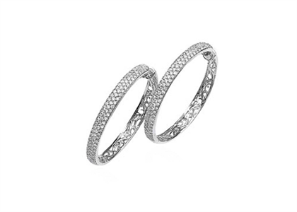 Rhodium Plated | Fashion Earrings